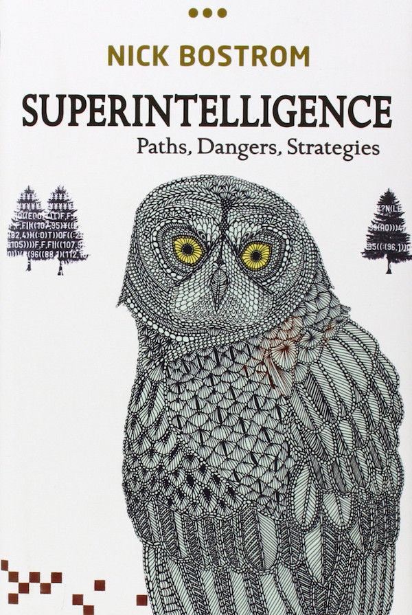 Superintelligence: Paths, Dangers, Strategies